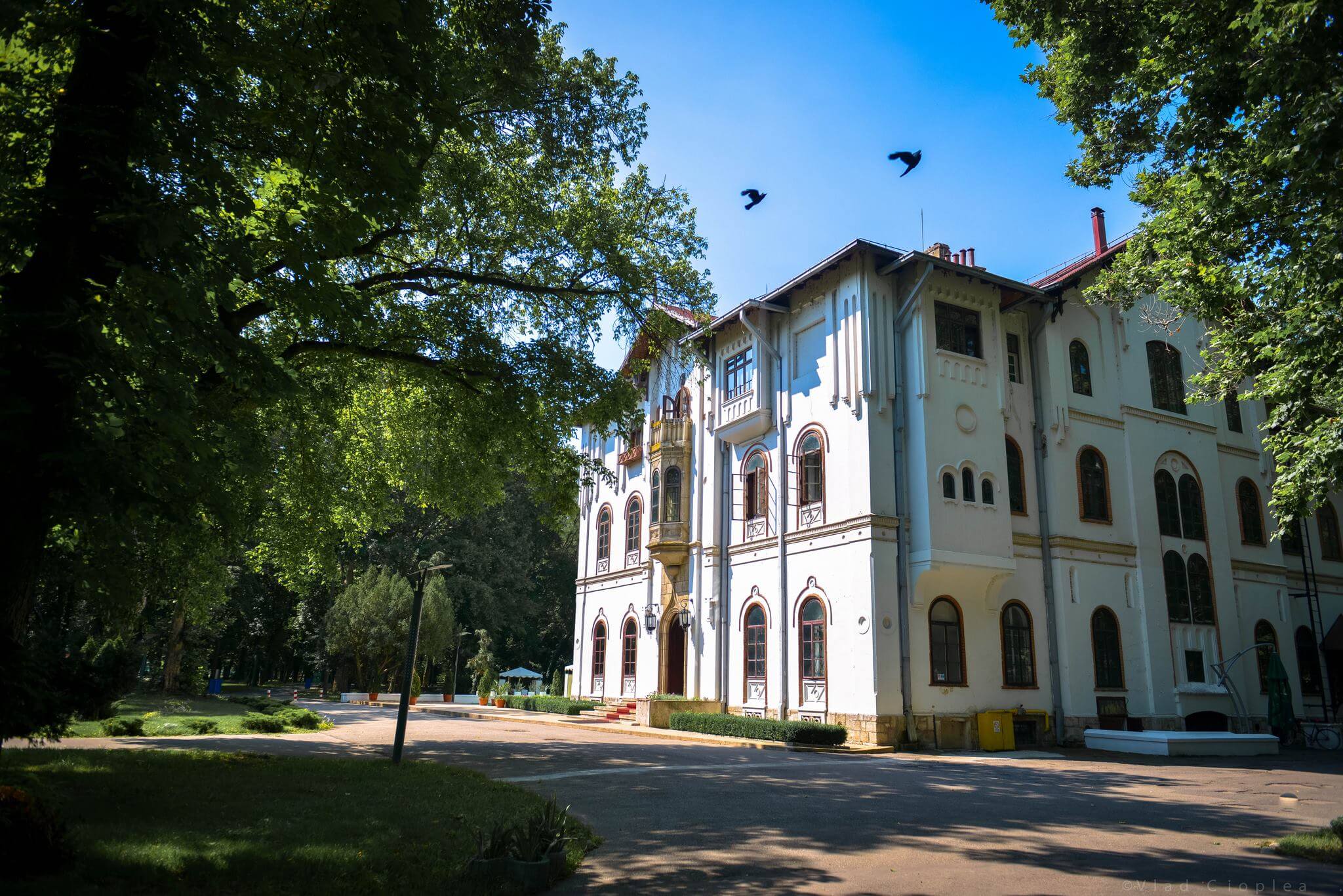 Fotografii