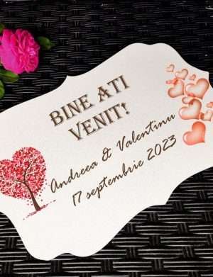 Placuta de Bun Venit cu tema INIMI personalizat, 40×25 cm – OMIS401012