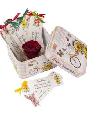 12 Motive, semne de carte personalizate, cu un trandafir rosu criogenat, diverse modele, multicolor – YODB1945