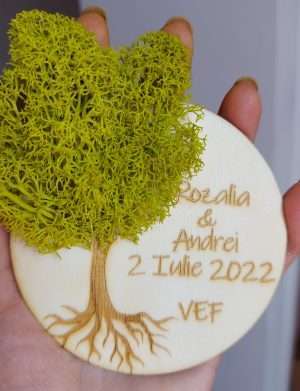 Marturie nunta/botez COPACUL VIETII, verde, cu licheni stabilizati, diam. 8 cm – AMB207002