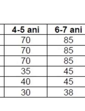 Ie romaneasca stilizata copii, bumbac 100% de calitate superioara – LLDJ10118