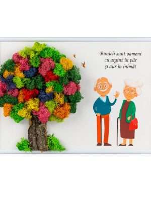 Tablou cadou cu licheni si flori uscate pentru Bunici 21x30 cm SYODB1621