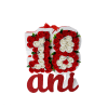 Aranjament 18 ani 23h Events