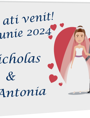 Tablou Bine ati venit! la nunta, dim. 400×300 mm, animatie miri – ILIF2002076