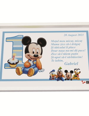 Tavita mot personalizata baietel, Gasca lui Mickey – ILIF203043