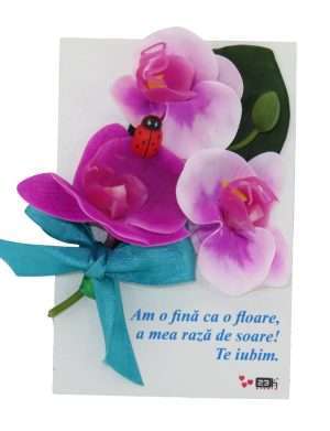 Cadou pentru fina, placuta lemn decorata cu flori si mesaj – ILIF203057