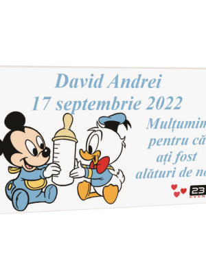 Marturie botez personalizata, Mickey&Donald, cu magnet – ILIF204020
