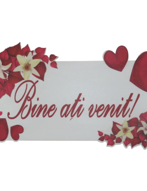 Pancarta nunta/botez, Bine ati venit, dim. 46×25 cm – ILIF205049