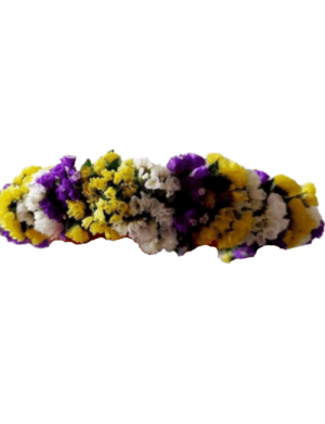 Coronita din flori uscate, realizata in culorile dorite – AMB205007