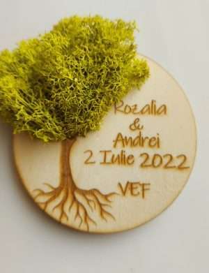 Marturie nunta/botez COPACUL VIETII, verde grass, cu licheni stabilizati, diam. 8 cm – AMB207002