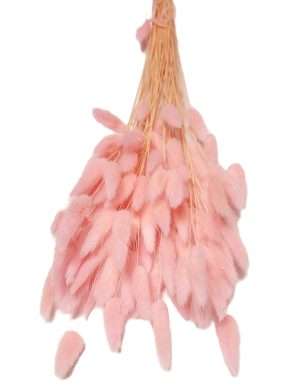 Lagurus roz deschis, premium, 50 grame – ARBC211002