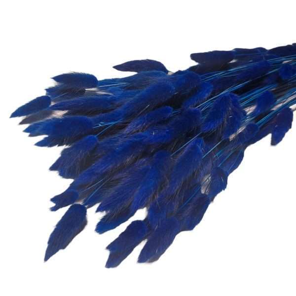 Lagurus albastru inchis, premium, 50 grame - ARBC211001