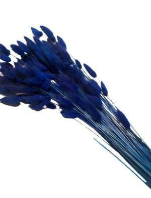 Lagurus albastru inchis, premium, 50 grame – ARBC211001