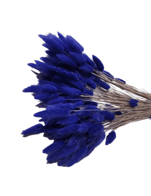 Lagurus albastru inchis, premium, 100 grame – ARBC211001