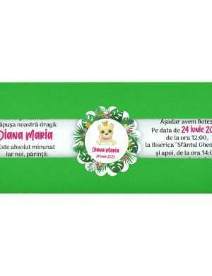 Invitatie botez Copertata verde, model jungle cu leu fetita – MIBC301004