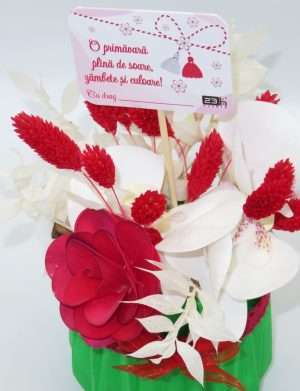 Aranjament cadou cu flori uscate in vas ceramic, verde-rosu-alb – ILIF302019