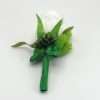 Cocarda de pus in piept pentru socrimatusiunchi verde alb ILIF303038 2