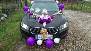 Decor masina, numar auto pentru nunta, model alb negru ILIF305004 64615 (1)