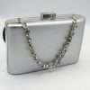 Gentuta tip clutch de culoare argintie ILIF305042 4