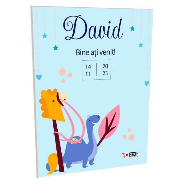 david 1