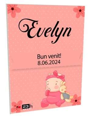 Tablou Bun Venit Botez, aniversare bebe fetiță cu iepuraș – ILIF308103