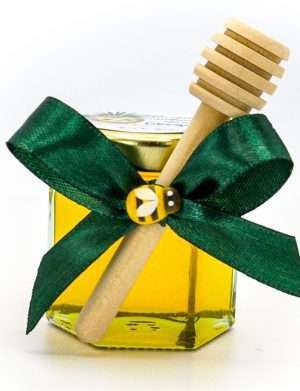 Mărturii dulci cu miere, model Aventură, Jungle cu Leuț, Verde, borcan 50 gr – DSBC308014