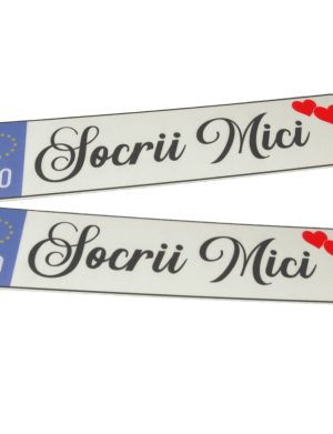 Decor masina, numar auto pentru nunta, Socrii Mici – ILIF309037