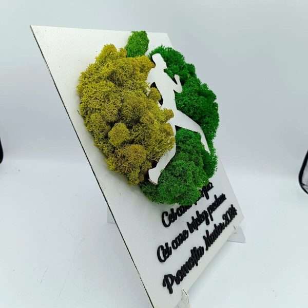 Tablou absolvire cu efect 3D, decorat cu licheni, dimensiune A4 FEIS406001 (4)
