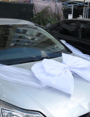 Decor masina pentru nunta, Funda Tulle alb – ILIF406030