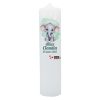 Lumanare botez fetita, model Personalizat, Elefantica verde ILIF411048