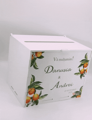 Cutie dar nuntă, Portocale, model Personalizat, 27x20x21cm – ILIF505071