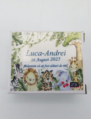 Mărturie botez, iconiță în cutie personalizată, Safari – ILIF505029