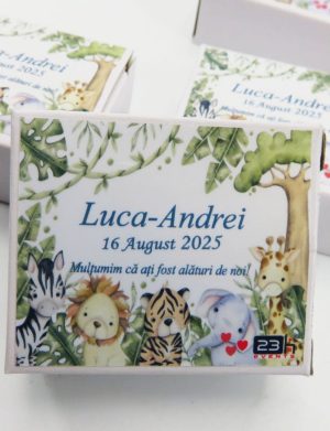 Mărturie botez, iconiță în cutie personalizată, Safari – ILIF505029
