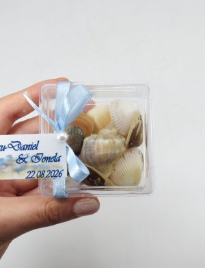 Mărturie nuntă, scoici în cutie transparentă cu panglică bleu – ILIF506069