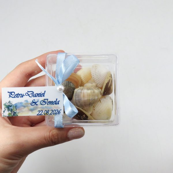 Mărturie nuntă, scoici în cutie transparentă cu panglică bleu - ILIF506069 - imagine 2
