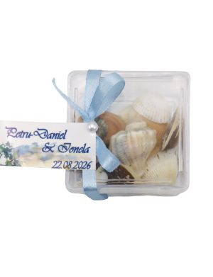 Mărturie nuntă, scoici în cutie transparentă cu panglică bleu – ILIF506069