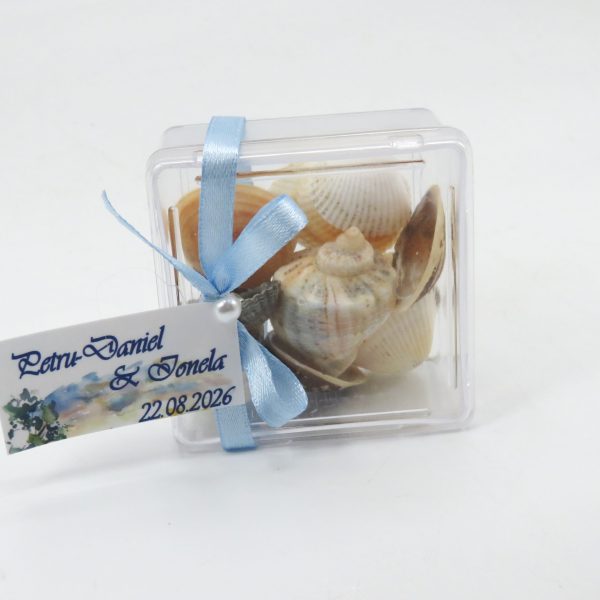 Mărturie nuntă, scoici în cutie transparentă cu panglică bleu - ILIF506069 - imagine 4