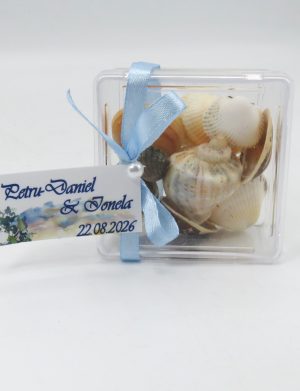 Mărturie nuntă, scoici în cutie transparentă cu panglică bleu – ILIF506069
