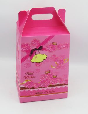 Cutie  cadou din carton, formă pătrată cu mâner dim.17x14x25 cm – ILIF507030
