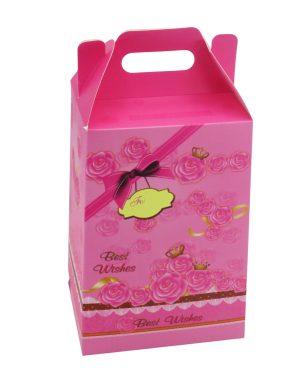 Cutie  cadou din carton, formă pătrată cu mâner dim.17x14x25 cm – ILIF507030