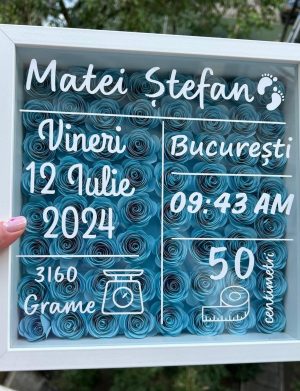 Shadow Box pentru nou-născut – personalizat cu flori din hârtie și detalii de la naștere – AMB507004