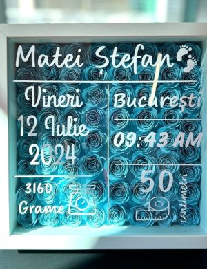 Shadow Box pentru nou-născut – personalizat cu flori din hârtie și detalii de la naștere – AMB507004