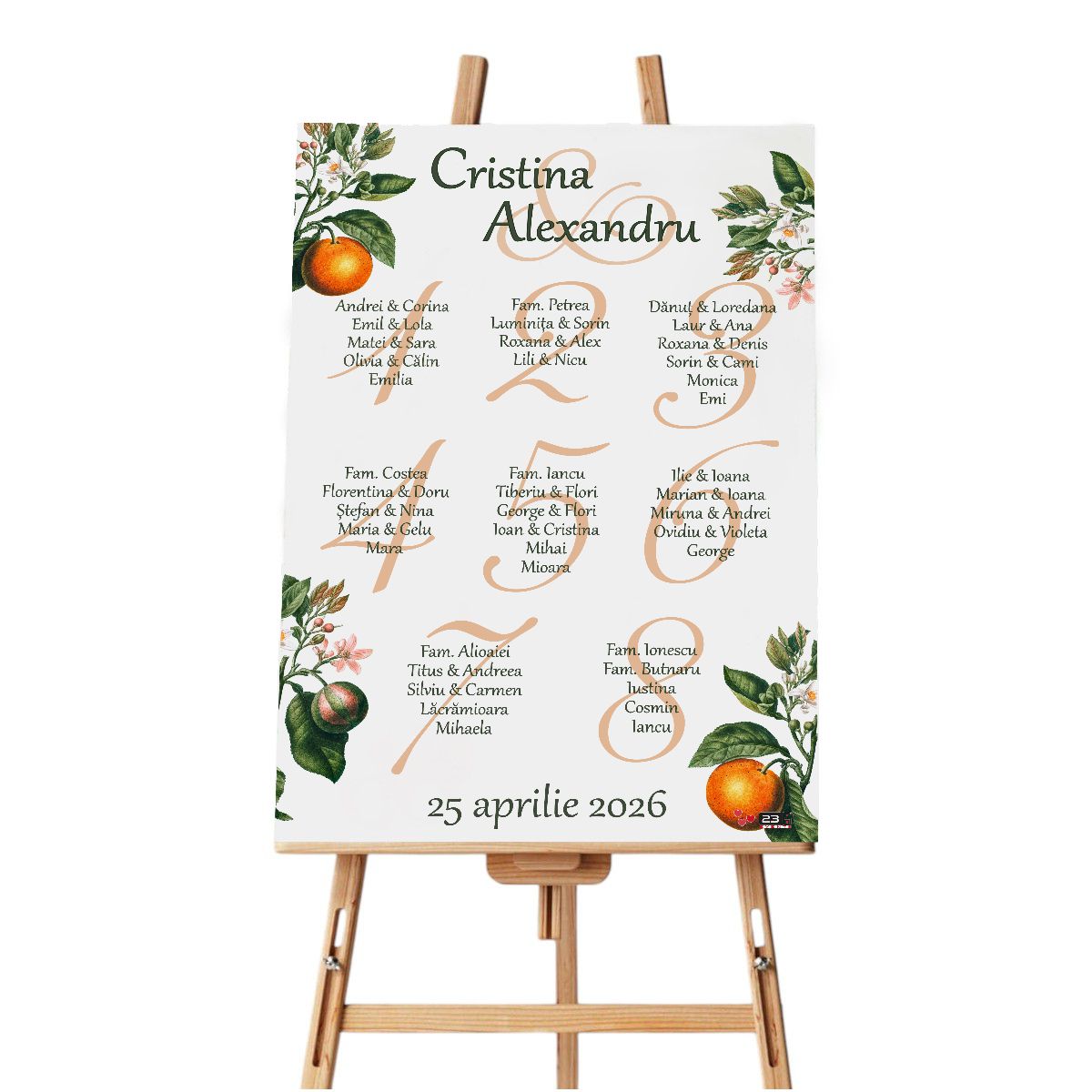 Panou Asezare la mese personalizat Opis nunta Portocale dim. 60x90 cm ILIF508015