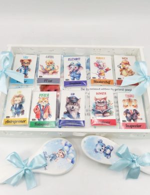 Set Tăviță Moț Băiețel, cu meserii, Personalizat cu fotografie, 13 piese – ILIF508010