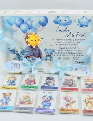 Set Tăviță Moț Băiețel, cu meserii, Personalizat cu fotografie, 13 piese – ILIF508010