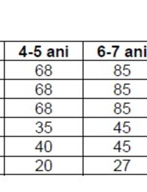 Ie, fustă și rochiță brodată tradițional, set Mamă-Fiică – LLDJ501030