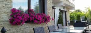 User 3 Locatie de petrecere